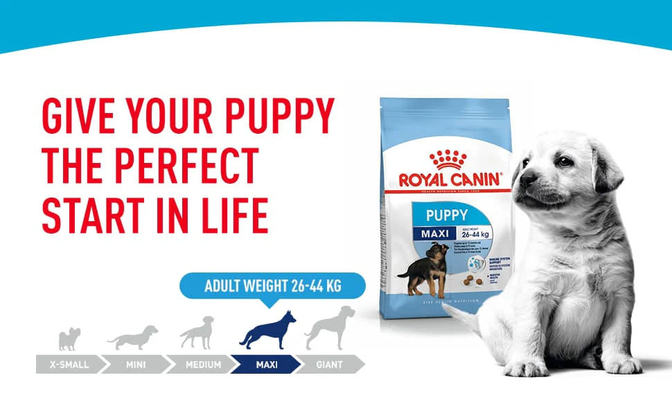Royal Canin Dog Food - Maxi Puppy - Image 4