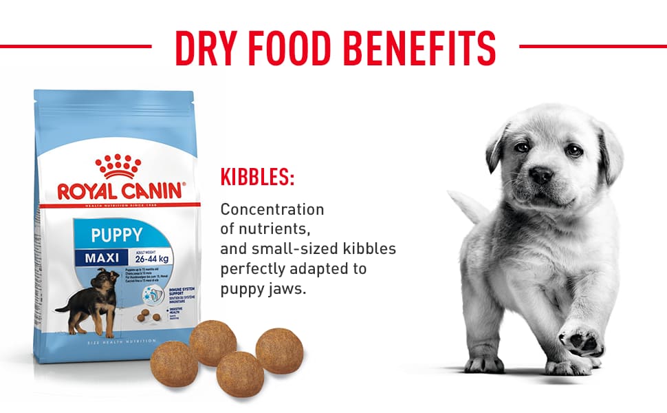 Royal Canin Dog Food - Maxi Puppy - Image 3