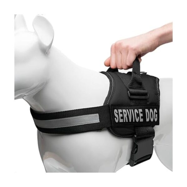 Belime Cheast Harness